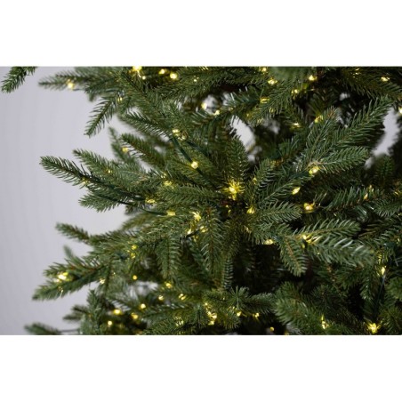 Illuminated Christmas Tree Anthony 2000 LED h 210 cm | MagicTree™