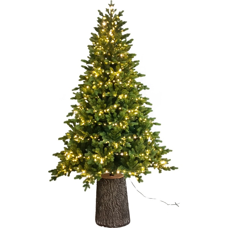 Darcy Illuminated Christmas Tree 210cm - 1000 LEDs - MagicTree™