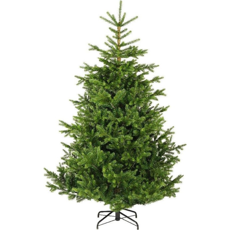 Nordmann Christmas tree 210 cm AmagicTree.com