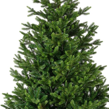 Nordmann Christmas tree 240 cm AmagicTree.com